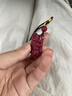 吉照堂正品高含量朱砂吊墜招財(cái)霸王貔貅轉(zhuǎn)運(yùn)項(xiàng)鏈男女款本命年護(hù)身符掛件 【紫金砂大號(hào)】三錢貔貅吊墜 曬單實(shí)拍圖