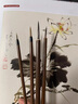 國畫(huà)毛筆套裝畫(huà)筆專(zhuān)用中國畫(huà)工筆畫(huà)工筆工具初學(xué)者畫(huà)山水畫(huà)畫(huà)筆大中小整套羊毫水墨花鳥(niǎo)水墨畫(huà)狼毫勾線(xiàn)筆全套 國畫(huà)6支【4支勾線(xiàn) 2支白云】 國畫(huà)毛筆+顏料+宣紙+墨汁+調色盤(pán)+毛氈 曬單實(shí)拍圖