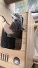 喵洁客（CAT MAGIC）美国CAT MAGIC喵洁客膨润土猫砂活性炭42磅 实拍图