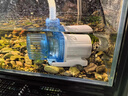 EHEIM靈感魚變頻水泵底吸泵魚池潛水抽水泵側(cè)吸泵魚缸超靜音循環(huán)過濾泵 超靜音·控制器防水40W流量可調(diào)/帶開關(guān) 曬單實拍圖