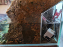 漁師傅魚(yú)缸水泵潛水泵抽水機家用小型過(guò)濾器循環(huán)噴泉低音魚(yú)池假山 AT302S 曬單實(shí)拍圖