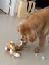 貴為（GiGwi）狗玩具大型犬狗狗玩具磨牙發(fā)聲耐咬拔河自嗨解悶神器毛絨寵物玩具 曬單實拍圖