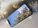 LEYONG 蘋果16Pro鋼化膜iphone15promax手機保護膜14/13防窺膜12全屏覆蓋11聽筒防塵網(wǎng)xsmax貼膜16e防摔 【超清2片】新升級黑邊丨聽筒防塵網(wǎng) 蘋果14 曬單實拍圖