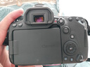 佳能70D 60D 90d家用旅游數碼入門(mén)級二手單反相機80D套機18-135防抖攝影 95新佳能90D含18-135 STM 官方標配 曬單實(shí)拍圖