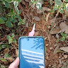 迪士尼（Disney）新款瘋狂動(dòng)物城AirPods4代蘋果無(wú)線藍(lán)牙耳機(jī)保護(hù)套Pro2卡通聽(tīng)歌朱迪尼克第三代適用情侶款透明軟殼 【透明耳機(jī)套】朱迪2-38Y AirPods4代/第四代 曬單實(shí)拍圖