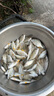光威（GW）2.1米閃將海竿魚竿超硬海桿套裝釣竿拋竿甩竿遠(yuǎn)投竿釣魚漁具 曬單實拍圖