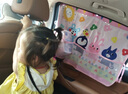 艾布與棉花汽車(chē)遮陽(yáng)簾車(chē)窗遮陽(yáng)板吸盤(pán)式車(chē)載隔熱遮陽(yáng)擋防曬窗簾車(chē)內用遮光簾 網(wǎng)兜款手牽手(一對裝) 曬單實(shí)拍圖