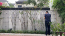 花架攀爬鐵線蓮爬藤架花墻爬藤支架絲瓜架室外柵欄圍欄院子圍墻護欄戶外蔬菜架子月季爬藤架鐵藝柵欄花池圍欄 黑色單件(寬50高200)現(xiàn)貨 曬單實拍圖