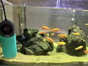 BESSN鈦片龍魚(yú)缸加熱棒大魚(yú)缸自動(dòng)恒溫變頻省電水族箱加溫棒防爆加熱器 鈦芯500W蜂鳴報警/90-120CM缸適用 曬單實(shí)拍圖