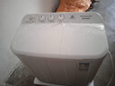 金帥（jinshuai）9/10/12公斤半自動(dòng)洗衣機大容量家用 雙缸雙桶波輪 脫水甩干老式  洗滌9公斤+脫水6公斤+強勁動(dòng)力 曬單實(shí)拍圖