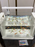 百因美（BIOZYM）釋魚小魚缸系列缸客廳懶人生態(tài)魚缸辦公室造景小型桌面水草水族箱 生態(tài)魚缸（白色）+多彩魚缸燈+50W加熱棒 曬單實拍圖