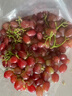 果益壽云南克倫生無(wú)籽紅提子新鮮脆甜葡萄 中秋送禮品新鮮水果禮盒裝 克倫生紅提5斤精品果 曬單實(shí)拍圖