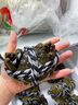 【活蟹】湖鮮陽(yáng)澄大閘蟹現貨 大蟹鮮活特大蟹 六月黃全公母蟹順豐 六月黃 2.7-3.0兩12只 曬單實(shí)拍圖