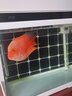 森森（SUNSUN） 超白玻璃小魚(yú)缸客廳小型桌面家用水族箱生態(tài)免換水金魚(yú)缸 HE600高檔缸內置棉和濾材(物流發(fā)貨) 曬單實(shí)拍圖