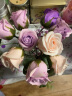 第一爱21朵紫康乃馨玫瑰永生香皂花同城配送鲜母亲节礼物送妈妈 实拍图