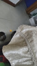 彩色玩具球貓咪玩具耐咬磨牙發(fā)泡足球玩具球互動寵物用品 10個彩色玩具球隨機色 曬單實拍圖