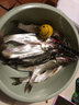 哈斯達(dá)（HISTAR）魔杖路亞竿套裝蟲(chóng)竿黑坑鱖魚(yú)鱸魚(yú)超快調(diào)魔丸水滴輪路亞竿全套魚(yú)竿 1.95米 L調(diào)直柄E系列雙線杯紡車(chē)輪 曬單實(shí)拍圖