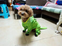 嬉皮狗（hipidog）狗狗雨衣夏季衣服寵物狗夏天泰迪比熊小型犬動(dòng)物造型牽引出行雨衣 青蛙蒂安綠 2XL 建議體重16-20斤 曬單實(shí)拍圖