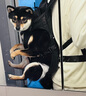 智宙狗包寵物背帶包外出雙肩狗狗背包中小型犬背狗神器胸前后背帶貓包 黑色 M碼【適用9-15斤】 曬單實(shí)拍圖