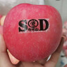 靈寶蘋果 LINGBAO APPLE順豐靈寶寺河山蘋果SOD紅富士富硒孕婦水果富硒脆甜平安果禮盒裝 90mm-95mm(不含)無SOD字12果禮盒 曬單實拍圖