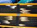 黃金眼競(jìng)技鯽魚(yú)漂黑坑鯉魚(yú)漂醒目漂尾釣魚(yú)漁具用品 Q6細(xì)尾 5號(hào)一支 曬單實(shí)拍圖