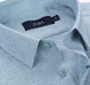 杉杉（FIRS）短袖衬衫男中年商务休闲正装宽松免烫衬衣 TCT4299短袖绿色 41  晒单实拍图