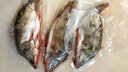 漁水依微山湖漁民野捕桂魚新鮮活魚現(xiàn)殺原生態(tài)鱖魚季花桂花鰲花魚淡水魚 野生鱖魚活魚現(xiàn)殺（損耗15%） 1斤/條 曬單實拍圖