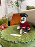 ISPET寵物衣服秋冬裝毛衣泰迪比熊小型犬柴犬西高地長毛領開衫毛衣 藍色 L 建議體重10-16斤 曬單實拍圖