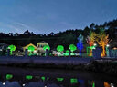 LED彩色戶外防水投光燈園林草坪照樹燈庭院七彩RGB景觀燈射樹燈 20W七彩RGB（遙控變色款） 曬單實拍圖