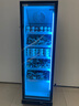 加承冷凍展示柜立式全屏商用冰箱冷凍柜大容量海鮮肉類速凍柜風冷無霜低溫柜超市冰淇淋雪糕保鮮冷柜 -22℃全屏冷凍柜大單門620*725*1980 曬單實拍圖