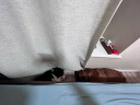 赫伊莎 窗帘专用免打孔安装伸缩杆 卧室厨房遮光简易罗马杆浴室现代新款 白色直径32mm 260-310cm(适用1.6米到3.1米) 实拍图
