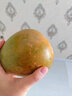 青尊園澳芒大芒果 新鮮當(dāng)季澳芒芒果水果樹(shù)上自然熟大果甜心芒 3斤 嘗鮮裝 曬單實(shí)拍圖