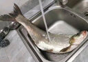 川澤多功能漂盒二合一魚(yú)漂收納盒大容量加厚防爆主線(xiàn)線(xiàn)組盒浮漂盒專(zhuān)用52cm多功能漂盒（豎軸）藍色【多功能二合一線(xiàn)組漂盒】 曬單實(shí)拍圖