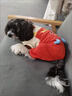 MIKI PAD狗狗衣服小型犬春秋款貓咪衣服四腳衣可牽引小狗衣服泰迪比熊 薯條背帶褲 M背長30cm（參考體重5-8斤） 曬單實拍圖