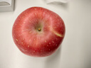 香凝【臨汾館】山西臨汾隰縣蘋(píng)果 新鮮紅富士蘋(píng)果水果8斤(15顆大果 曬單實(shí)拍圖