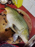 富源百川大物線組綁好的線組魚線主線組成品組合套裝水庫青鱘巨物釣大魚 2卷裝 8.5米 -巔覆大物線組 8號 曬單實(shí)拍圖