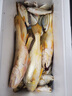 Daijia綁好線海釣船釣魚(yú)鉤丸世夜光魚(yú)鉤黃姑魚(yú)白果子鱸魚(yú)黑頭子線發(fā)光鉤 20號(hào) 丸世夜光鉤 曬單實(shí)拍圖