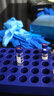科析生物1.5/2ml玻璃進(jìn)樣瓶頂空瓶氣相液相色譜瓶進(jìn)樣小瓶安捷倫透明棕色島津樣品取樣瓶含蓋墊帶實驗室 2ml 透明帶刻度100個（瓶+蓋墊）開孔蓋 曬單實拍圖