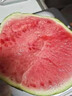 萊財多小糖丸麒麟西瓜水果新鮮全美2k手撕冰淇淋小西瓜糖見應季紅心 麒麟西瓜3-4斤裝單個 曬單實拍圖