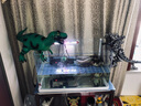 索冠 哥斯拉手辦玩具周邊大戰金剛SHM基多拉NECA機械模型怪獸大猩猩 機械哥斯拉31cm袋裝 國產(chǎn)版 曬單實(shí)拍圖