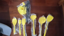 摩登主婦硅膠鍋鏟不粘鍋專(zhuān)用鏟食品級炒菜套裝廚具全套湯勺鏟子 全包硅膠廚具7件套（黃色） 曬單實(shí)拍圖