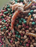 奈寵（NaiChong）小烏龜飼料通用龜糧魚(yú)干蝦干淡水巴西草龜料顆粒專(zhuān)用營(yíng)養食物糧 蝦干龜糧1000g桶裝 大粒5mm【適合15厘米以上的龜】 曬單實(shí)拍圖