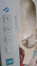 乌斯京一次性手套PVC食品级实验室美容清洁烘焙餐饮厨房手套100只 小码 实拍图