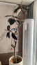 花城水調(diào)黑金剛橡皮樹客廳綠植大盆栽造型室內(nèi)四季好養(yǎng)辦公室陽(yáng)臺(tái)大型綠植 橡皮樹1.7-1.9m+豎紋高水泥盆 曬單實(shí)拍圖