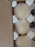遠達（YUANDA）河北皇冠梨5斤/9斤新鮮水果梨子當季應季脆甜青皮綠寶石梨整箱 一級皇冠梨凈重9斤彩箱裝 曬單實拍圖