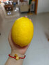 uncle lemon四川特產(chǎn)新鮮黃檸檬大果安岳尤力克水果多汁奶茶店榨汁切片泡茶 9斤大果(單果重量150g+) 曬單實(shí)拍圖