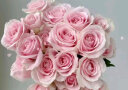 斗南基地直批发玫瑰鲜花全国速递配送女友生日礼物家用水养插花 白玫瑰18支+2支（防损） 实拍图