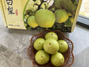 南步正宗北京門(mén)頭溝京白梨 北京特產(chǎn)軍莊鎮東山村京西貢梨新鮮水果 5斤 中果【禮盒裝】 曬單實(shí)拍圖