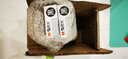 晨光MF2007米菲中性筆學(xué)生用卡通可愛創(chuàng)意全針管0.38mm水筆簡約少女心水性筆極細(xì)記賬簽字筆學(xué)生 MF2007筆12支黑色 曬單實拍圖