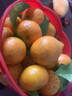 南步順豐廣東四會(huì )沙糖桔 純甜清香蜜橘砂糖柑橘子新鮮水果年貨禮盒裝 砂糖橘 9斤【精選裝】 曬單實(shí)拍圖